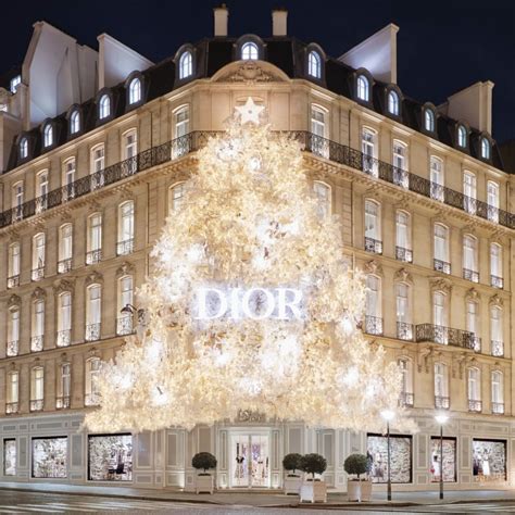 dior paris weihnachten|Make.